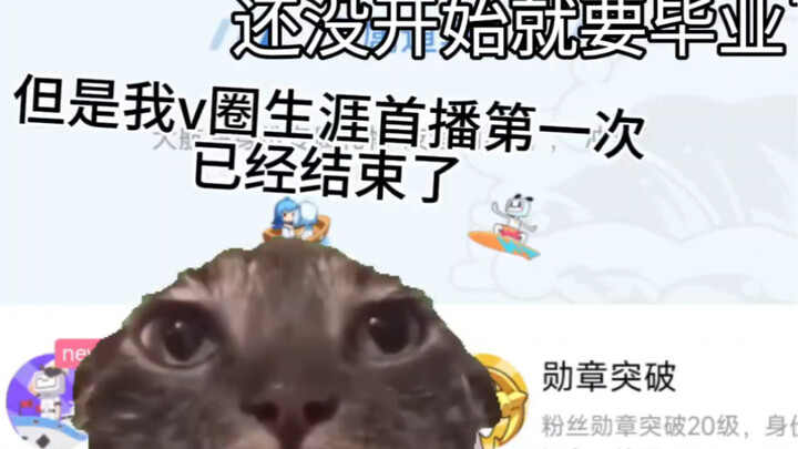 【猫meme】还没开始就要毕业了？什么天选倒霉蛋啊！