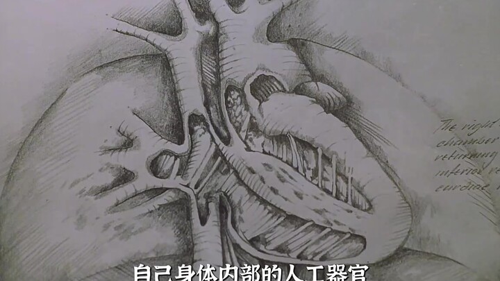 เส้นทางการเปลี่ยนจากหุ่นยนต์เป็นมนุษย์ "หุ่นยนต์