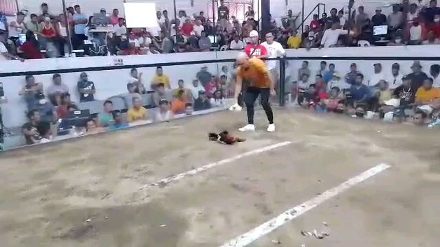 SDC GF Silang Cockpit Arena