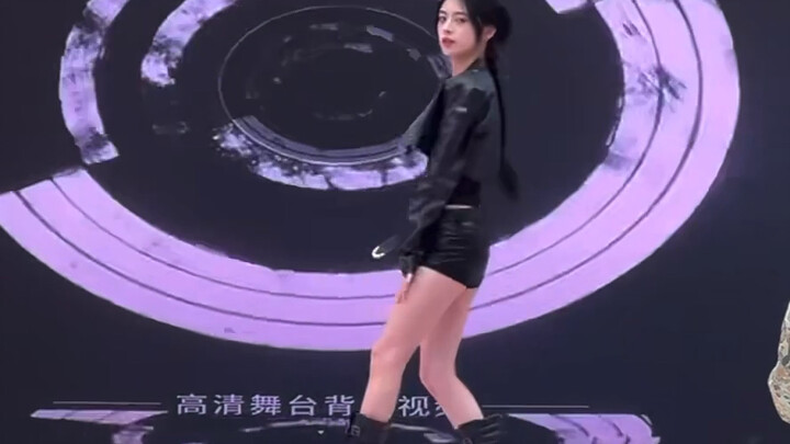 20241109东营随舞嘉宾秀/小刷不是小傻瓜