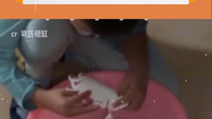 No wonder they’re art majors! #ArtStudents #Drawing #ArtLife #Funny #CreativeFun #WatchTogether