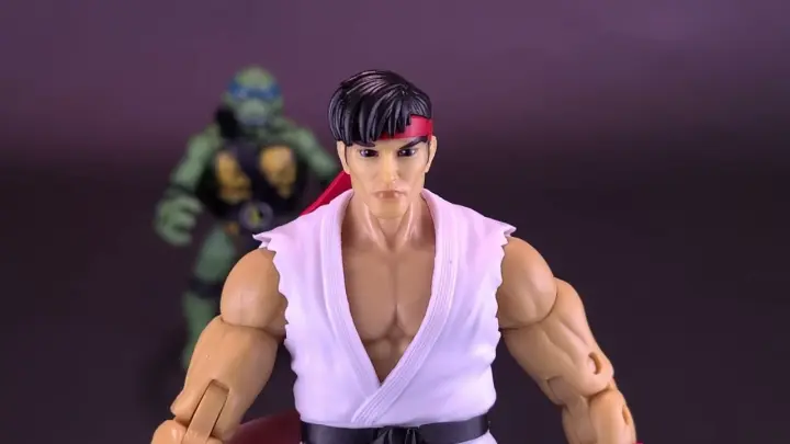 Playmates Toys TMNT Vs Street Fighter 35th Anniversary Leonardo and Ryu Two Pack@The Review Spot