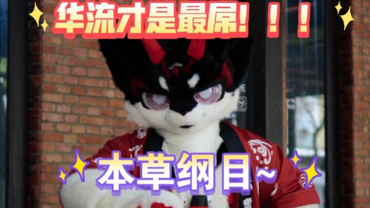 【Fursuit/Fursuit】(ー`´ー) Chinese style is the coolest(ฅ>ω<*ฅ) Compendium of Materia Medica~