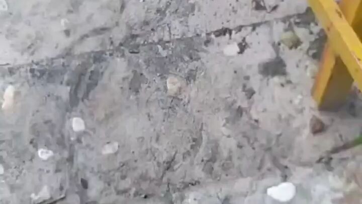 wow Mera Mera no mi๐คฃ