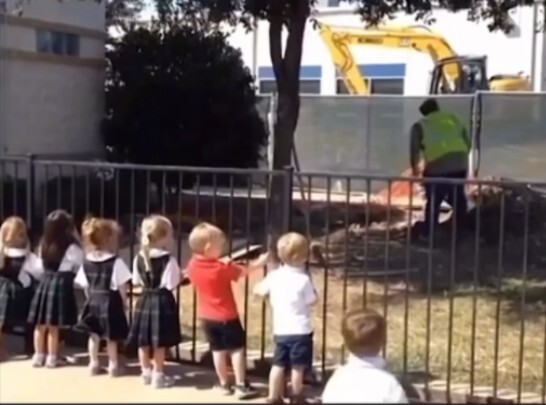 "The laid-back vibe unique to this age"...