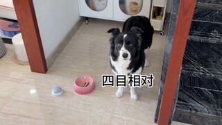 今天是团队配合模式