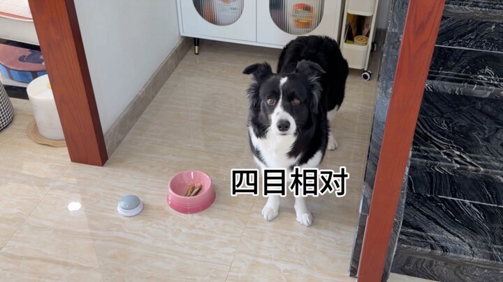 今天是团队配合模式