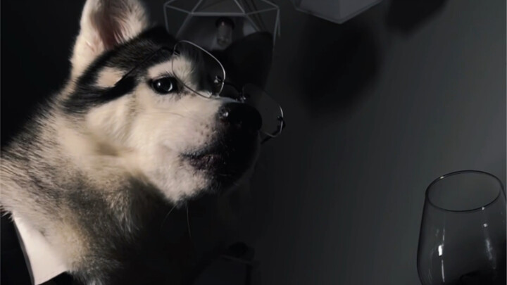 If you behave well, I might even give you a bite.