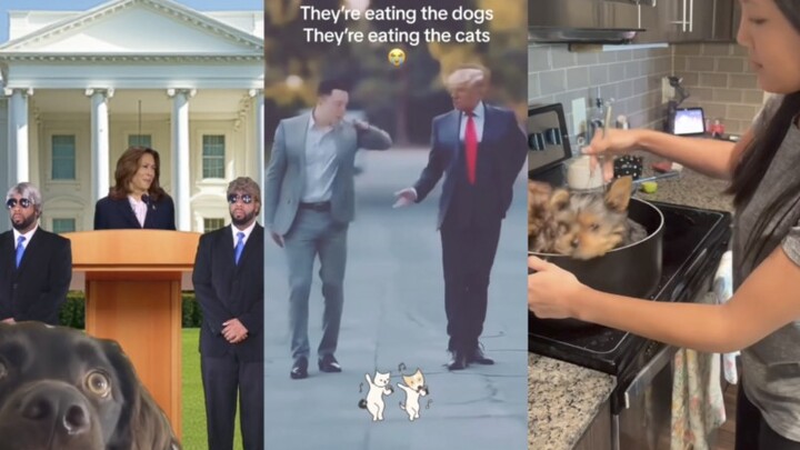 These past few days, Trump’s single “Eat Cats, Eat Dogs” has been all over TikTok—so much buzz!