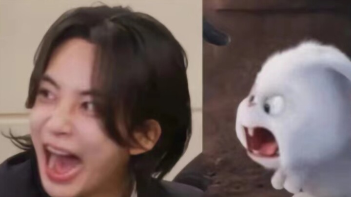 "เจ้าหัวหน้ากระต่ายที่เหมาะกับร่างกายของคลาร่า"