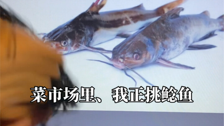 Buying Catfish