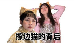 每一只擦边猫的背后都有一个心酸的故事……