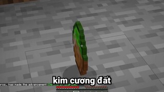 Minecraft Nhưng Bạn Sở Hữu Siêu Kim Cương Mới