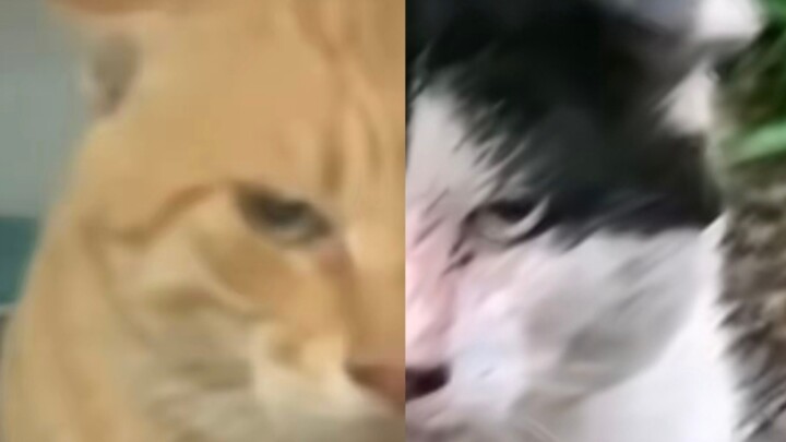 故人之姿