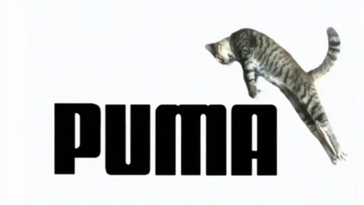 Cày luyện kỹ năng trừu tượng… vẫn thua xa tuyển thủ thiên phú? #98