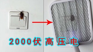 用2000伏的电蚊拍灭蟑螂是什么体验？