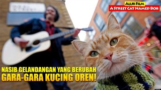 Gelandangan Yang Berubah Gara-gara Kucing Oren!!! | Alur Cerita Film A Street Cat Named Bob (2016)