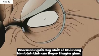 Top 7 Bác Sĩ Vĩ Đại Nhất One Piece #34- 4