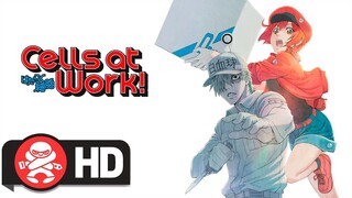 Cells at Work! is Available for Pre-Order Now!
