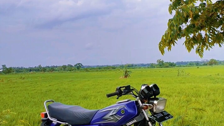 RX king