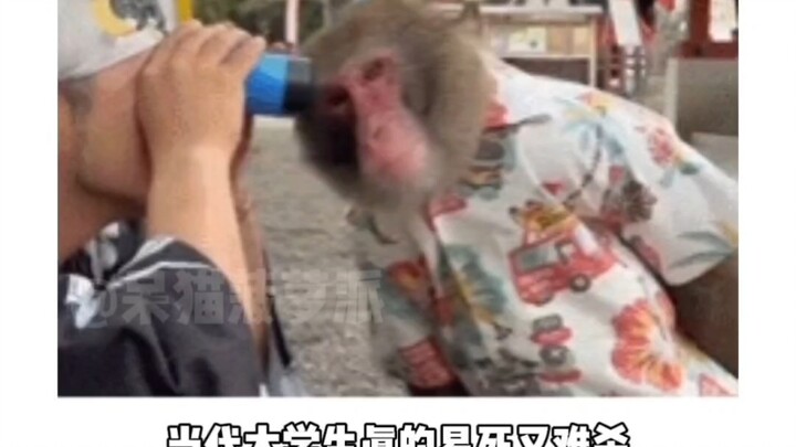 Sinh viên đại học thời nay đúng là dễ chết mà khó giết.