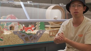Saya menghabiskan 500 yuan untuk mendekorasi Istana Kristal milik hamster kaya. Netizen berkata: Per