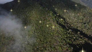 Gunung Leuser