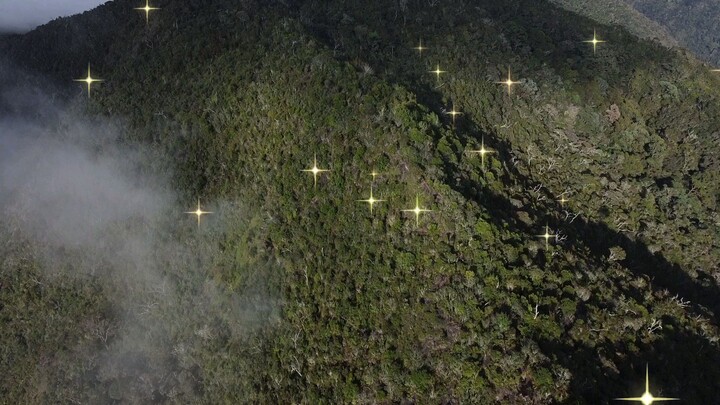 Gunung Leuser