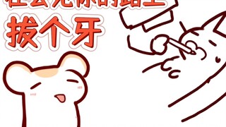 【Rat Candy】The big tail is in the shape of Mrs. Hamster even when she has her wisdom teeth pulled ou