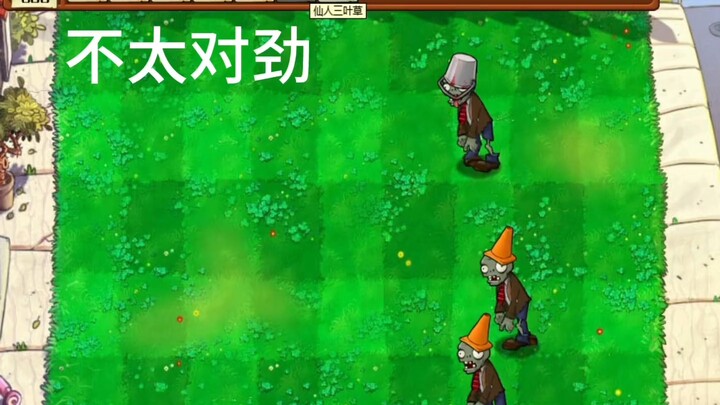不演了是吧？