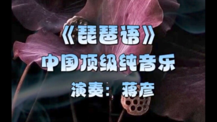 琵琶语