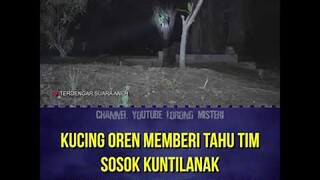 KUCING OREN KASIH TAHU ADA KUNTILANAK DUDUK DI POHON #shorts