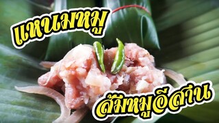 แหนมหมู ส้มหมูอีสาน สูตรวันเดียวเปรี้ยวกำลังดี