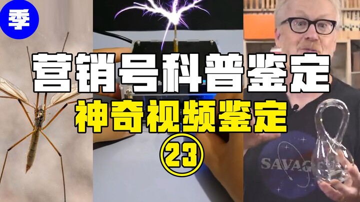 【鉴定热门】小伙宿舍发现变异巨蚊？有人能装满永远装不满的克莱因瓶？