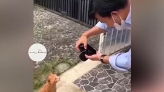 Không thể tin thằng chụp ảnh được mà