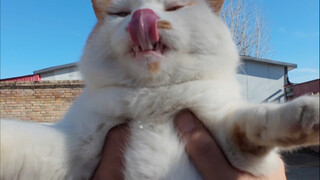 كان هانزي يأكل، فحملتهُ بسرعةٍ وضمّهُ إلى صدره. ولَّلَ لسانُهُ مؤخِّرَةَ رأسهِ. يا للشهيّة!