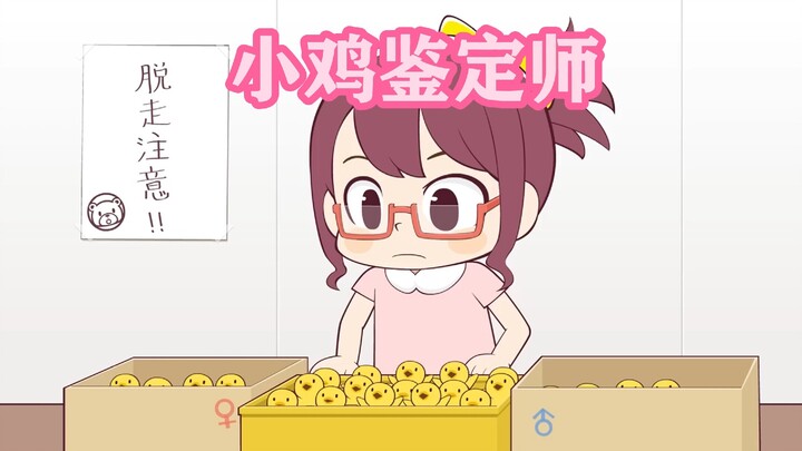 小鸡鉴定师