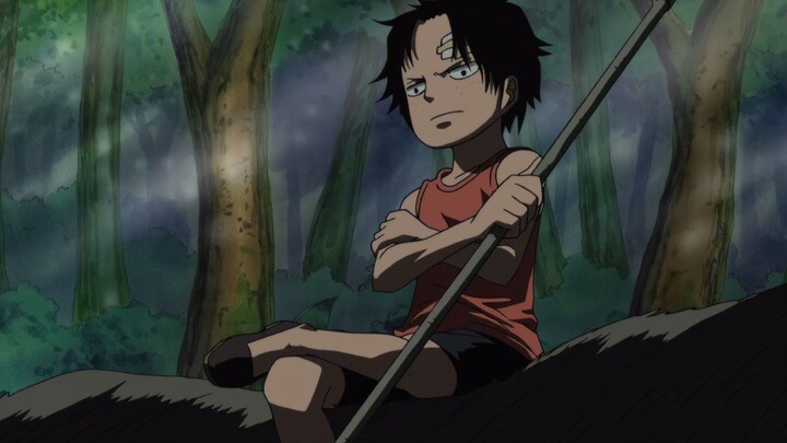 [ One Piece ] I am so lucky to be your younger brother!