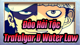 [Đảo Hải Tặc]Trafalgar D. Water Law