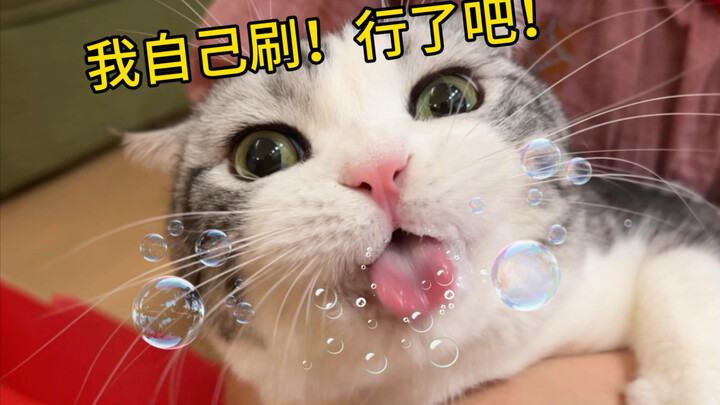 Seberapa sulit sih menyikat gigi kucing? Kucing nggak puas, jadi sikat sendiri deh…