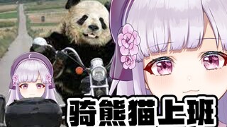 日本美少女：我也想骑熊猫上班