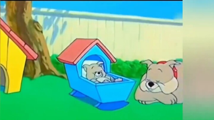 "When Tom and Jerry come into reality"~# animated short film