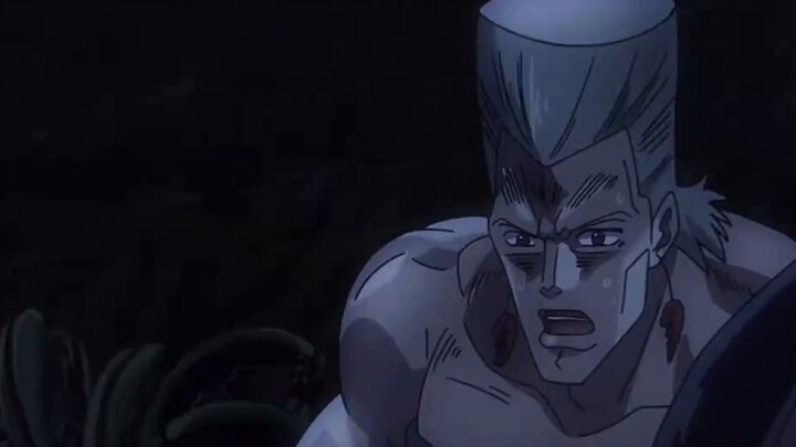 โปลนาเรฟเกิดมาเพื่อเก็บกล้วยไม้ไฟเปลือกหิน (JoJo's Bizarre Adventure)