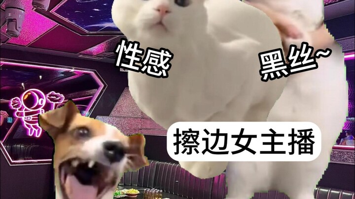 What You Think Guys Want to Watch vs. What Guys Actually Want to Watch