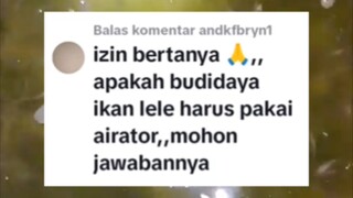 Apakah budidaya ikan lele harus pakai AERASI/AERATOR❓