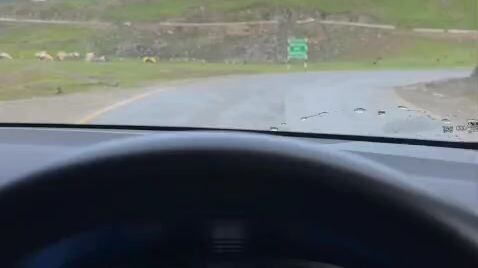 car driving