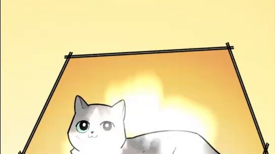 When my cat was complained by neighbors for being too venomous...
