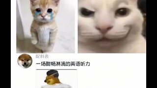 真是一场酣畅淋漓的英语听力大比赛啊！