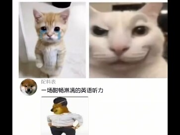 真是一场酣畅淋漓的英语听力大比赛啊！