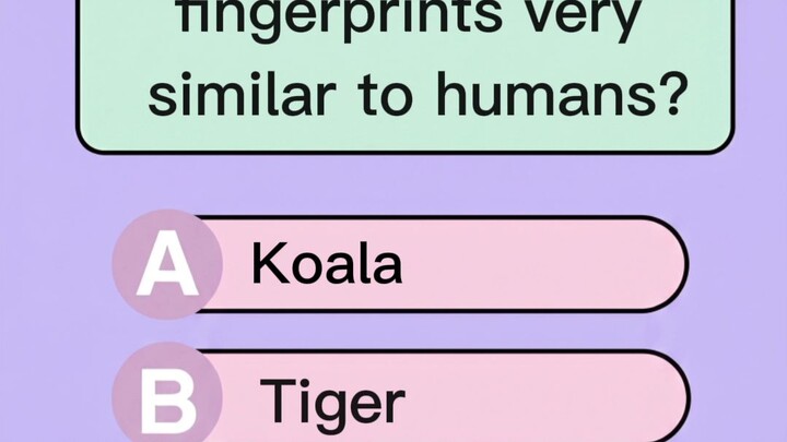 Human vs Animals